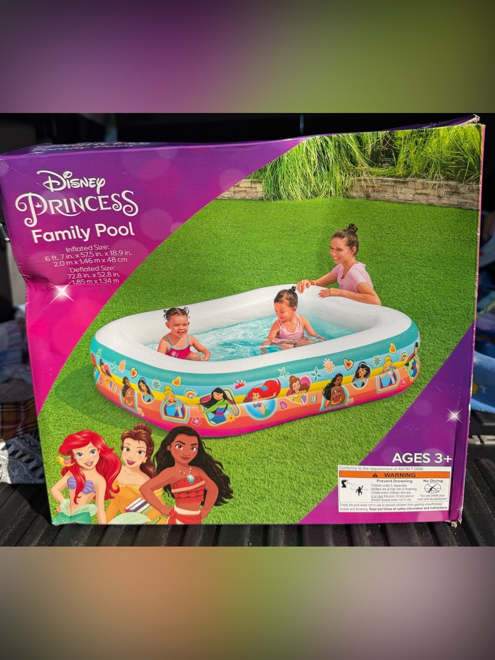Disney Princess family pool Inflatable Pool - Pink & Teal